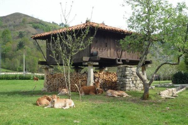 Hotel Rural Sucuevas (Adults Only) Llano-Con Exterior foto